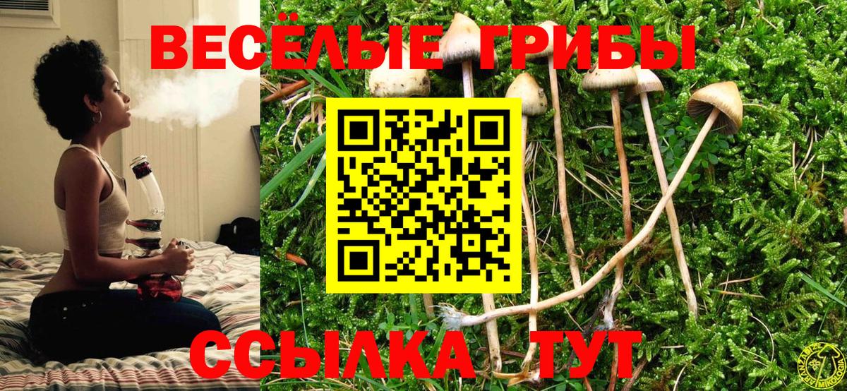 Псилоцибиновые грибы мухоморы Стрежевой